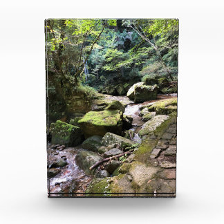 Mossy Mountain Stream in a Japanese Forest Jigsaw Fotoblock