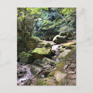 Mossy Mountain Stream in a Japanese Forest Jigsaw Postkarte