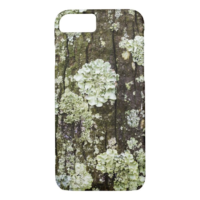 Mossy Oak Trunk iPhone Case (Rückseite)