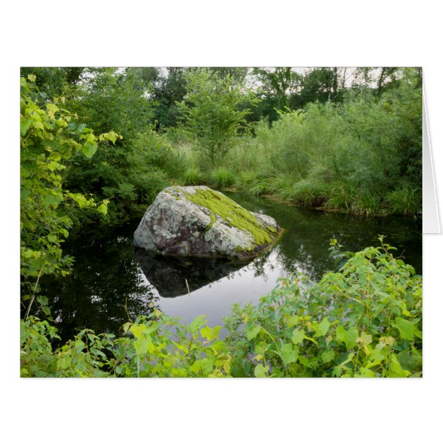 Mossy Rock in Pond (Vorderseite (Horizontal))