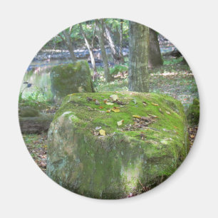 Mossy Rocks auf Bank Magnet