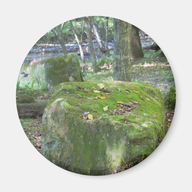 Mossy Rocks auf Bank Magnet (Vorne)