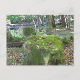 Mossy Rocks auf Bank Postkarte