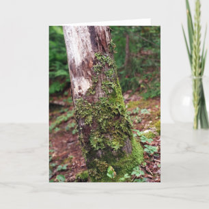 Mossy-Tree-Karte Feiertagskarte