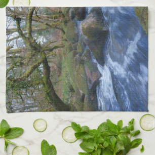 Mossy Trees and River Dart Flows at Dartmeet Geschirrtuch