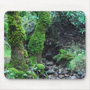 Mossy Trees Mousepad