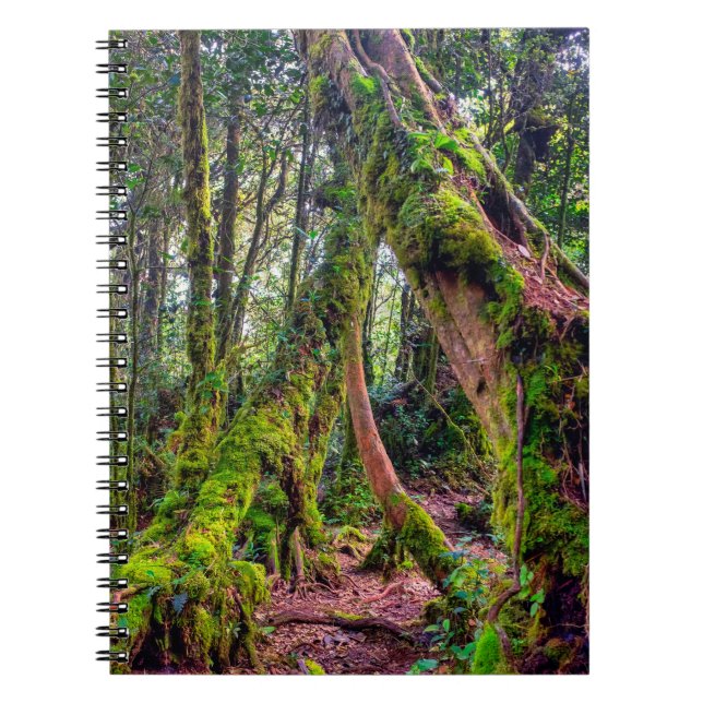 Mosy Wald Notizblock (Vorderseite)