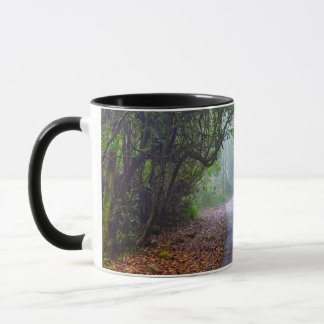 Mosy Wald Tasse