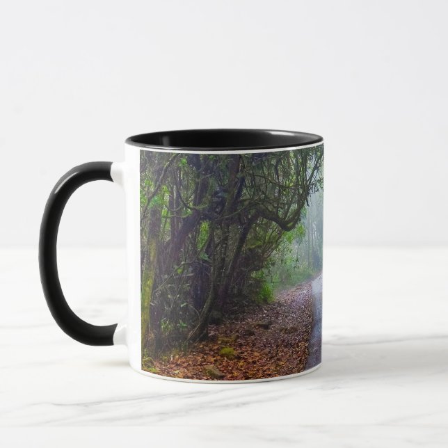 Mosy Wald Tasse (Links)