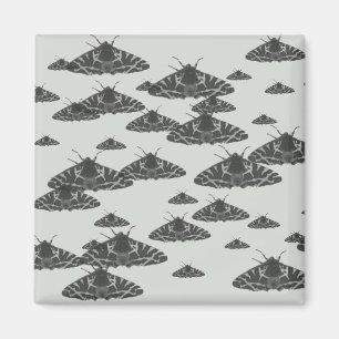 Moth am Abend lauert um Mitternacht Magnet