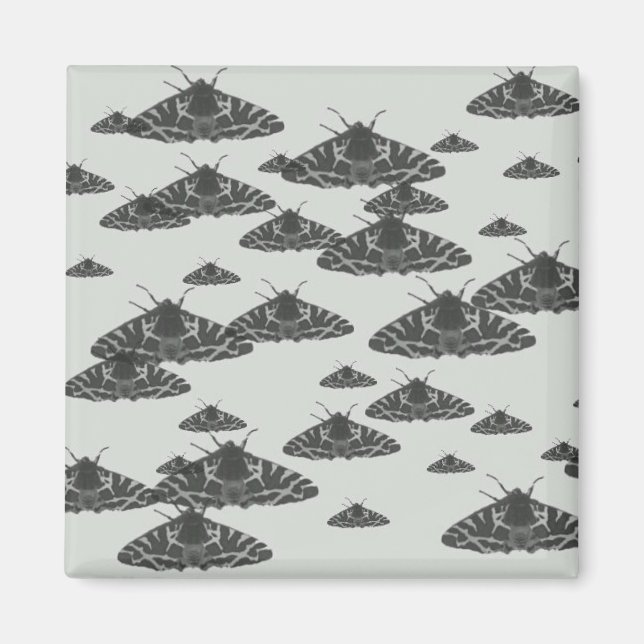 Moth am Abend lauert um Mitternacht Magnet (Vorne)