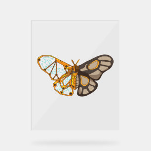 Moth Butterfly Dragonfly Insekt Acrylschild