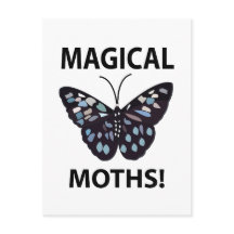 Moth Butterfly Magic Moths