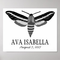 MOTH Elegantes Insekt CUSTOM BABY NAME BIRTHDATE
