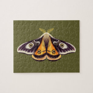 Moth Insect Art Goblincore Saturnia Witchy Green