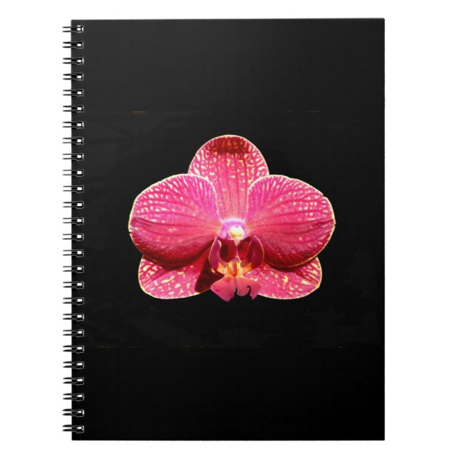 Moth Orchid Spiral Notebook Notizblock (Vorderseite)