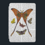 Moth Plate 2 iPad Mini Hülle<br><div class="desc">Tiere & Natur</div>