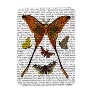 Moth Plate 2 Magnet