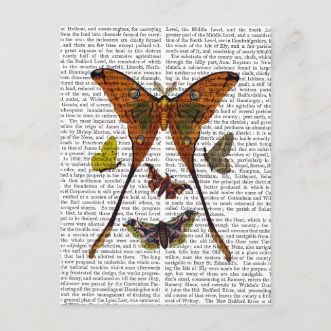 Moth Plate 2 Postkarte (Vorderseite)