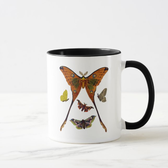 Moth Plate 2 Tasse (Rechts)
