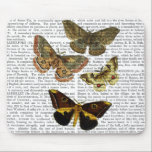 Moth Plate 4 Mousepad<br><div class="desc">Tiere & Natur</div>
