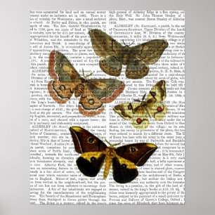 Moth Plate 4 Poster