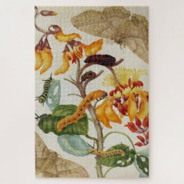 Moth Print