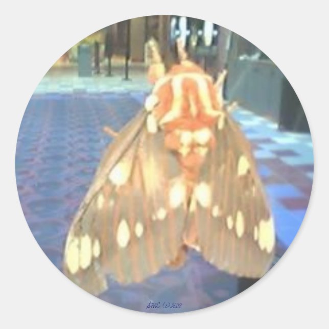 Moth Runder Aufkleber (Vorderseite)