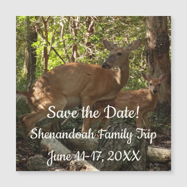 Mother and Baby Deer at Shenandoah National Park Magnetkarte (Vorderseite)