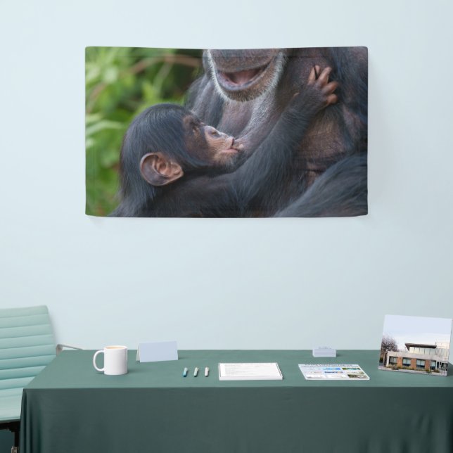 Mother’s Love – Baby Chimpanzee Banner (Messeveranstaltung)