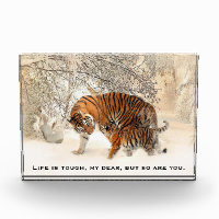 Mother Tiger and Cube Inspirierend Angebot