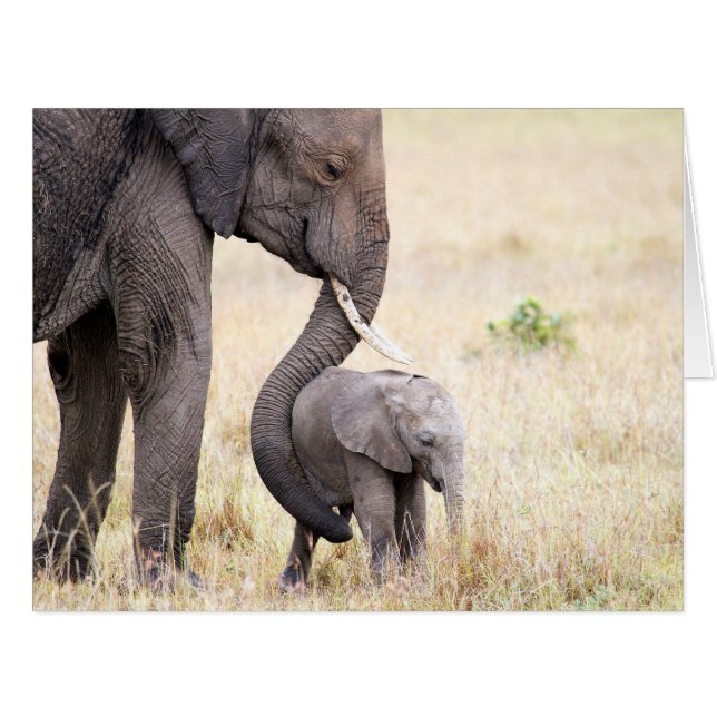 Motherly Love (Vorderseite (Horizontal))