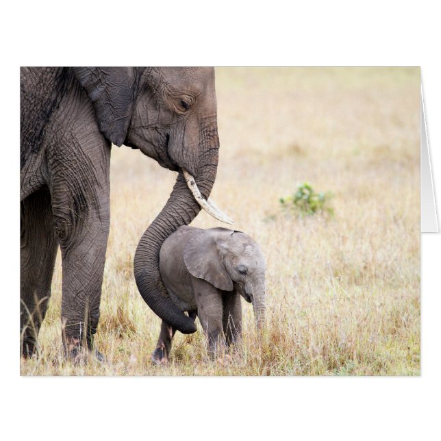 Motherly Love (Vorderseite (Horizontal))