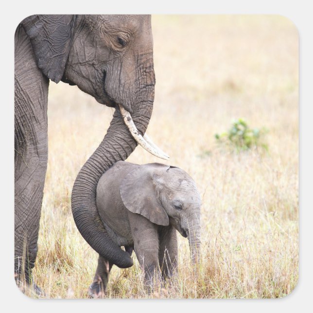 Motherly Love Quadratischer Aufkleber (Vorderseite)