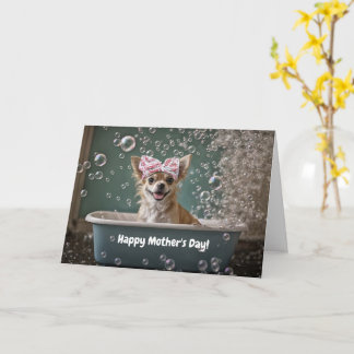 Mothers Day Cute and Funny Chihuahua Small Dog  Karte