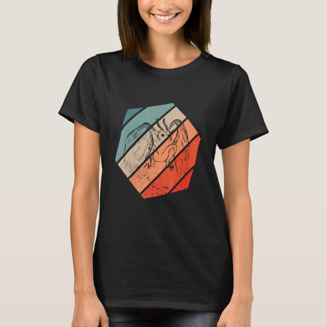 Mothman Cryptozoology Hexa Retro Folklore Cryptid T-Shirt (Vorderseite)
