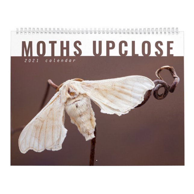MOTHS UPCLOSE 2021 KALENDER (Titelbild)