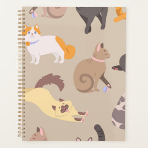 Motif