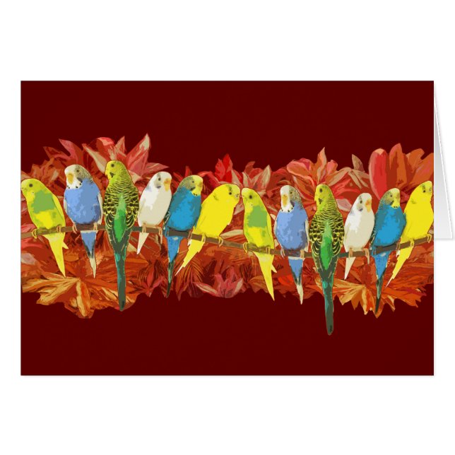 Motif coloré de perruches (Devant horizontal)