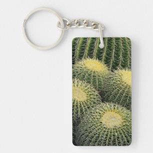 Motif de cactus
