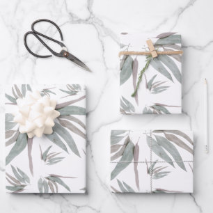 Motif de feuilles d'eucalyptus