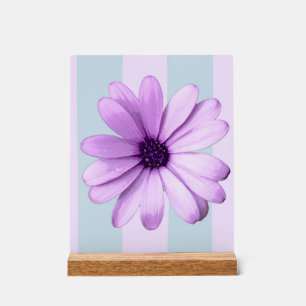 motif de marguerite rayée de bleu et de violet