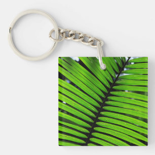Motif Des Feuilles Fern