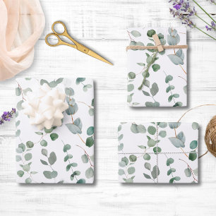 Motif floral de feuilles de verdure d'eucalyptus