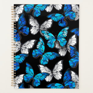 Motif sans couleur foncée avec papillons bleus Mor