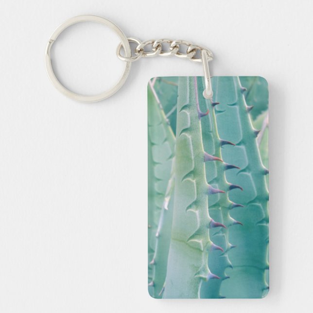 Motifs d'une plante d'Agave (Devant)
