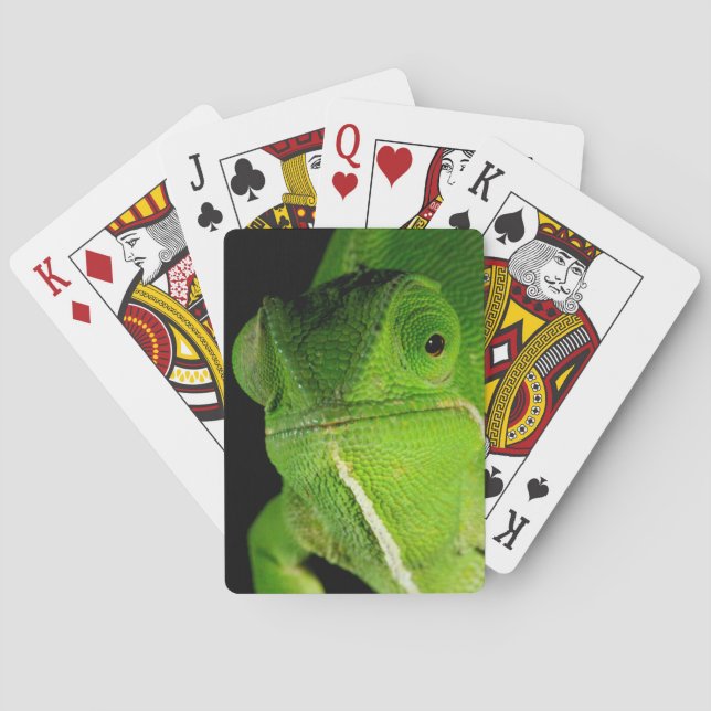 Motiv: Of Flap-Necked Chameleon Spielkarten (Rückseite)