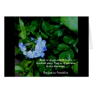Motivation florale