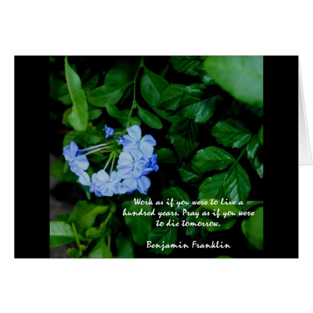 Motivation florale (Devant horizontal)