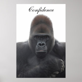 Motivational Confidence Poster